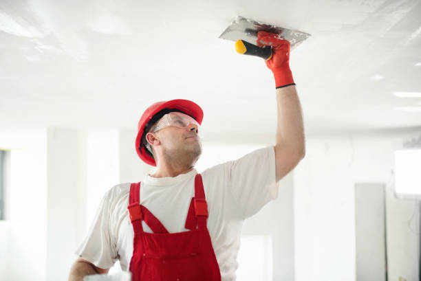 Best Commercial Painting  in Terrell, TX